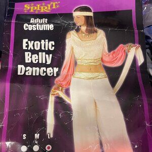Exotic Belly Dancer Costume